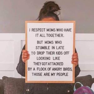 Meet your Posher, Shaun lyn